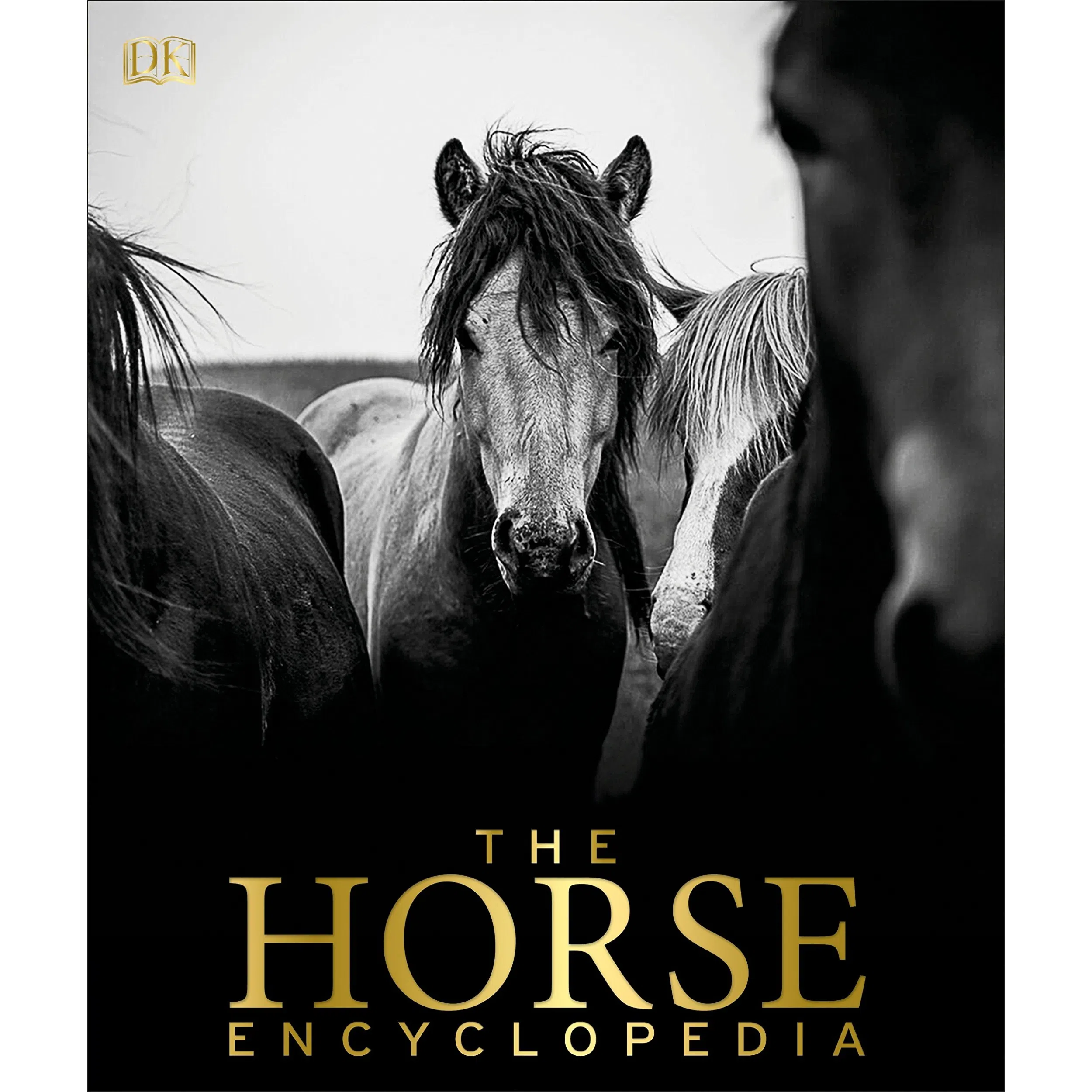 کتاب The Horse Encyclopedia اثر Elwyn Hartley Edwards انتشارات DK