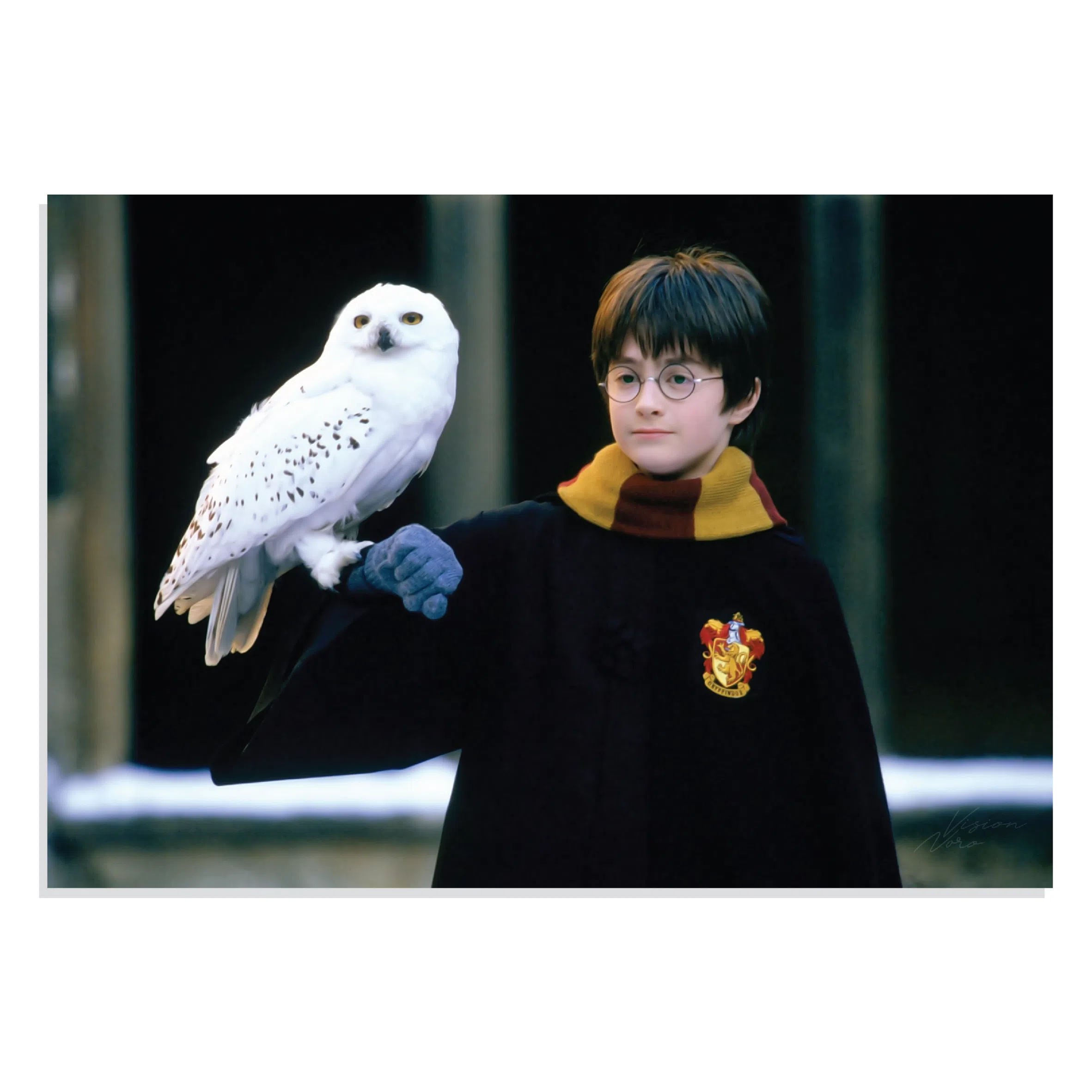 پوستر  طرح فیلم هری پاتر Harry Potter مدل NV0412