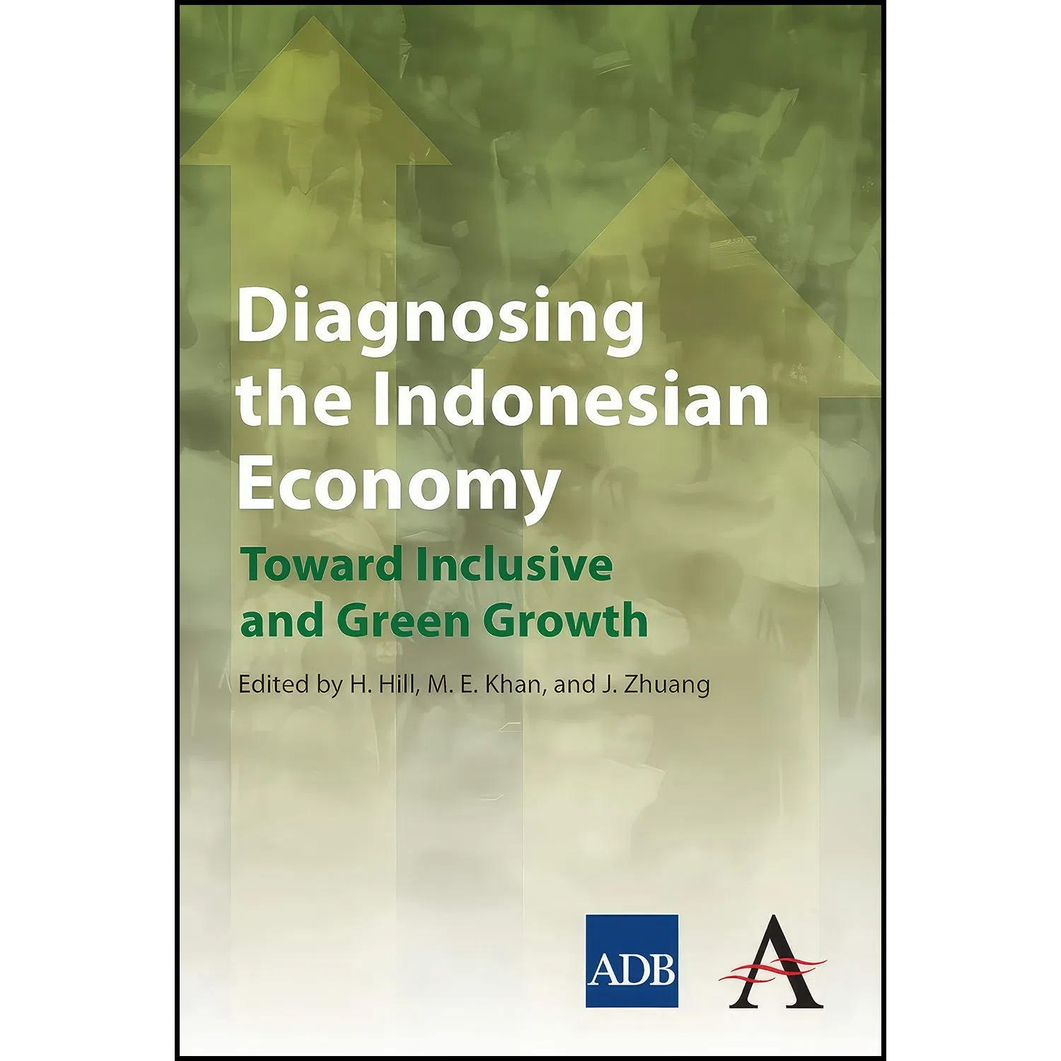 کتاب Diagnosing the Indonesian Economy اثر جمعي از نويسندگان انتشارات Anthem Press