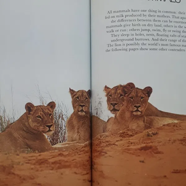 كتاب Wild Animals اثر جمعي از نويسندگان انتشارات Treasure Press — تصویر 2