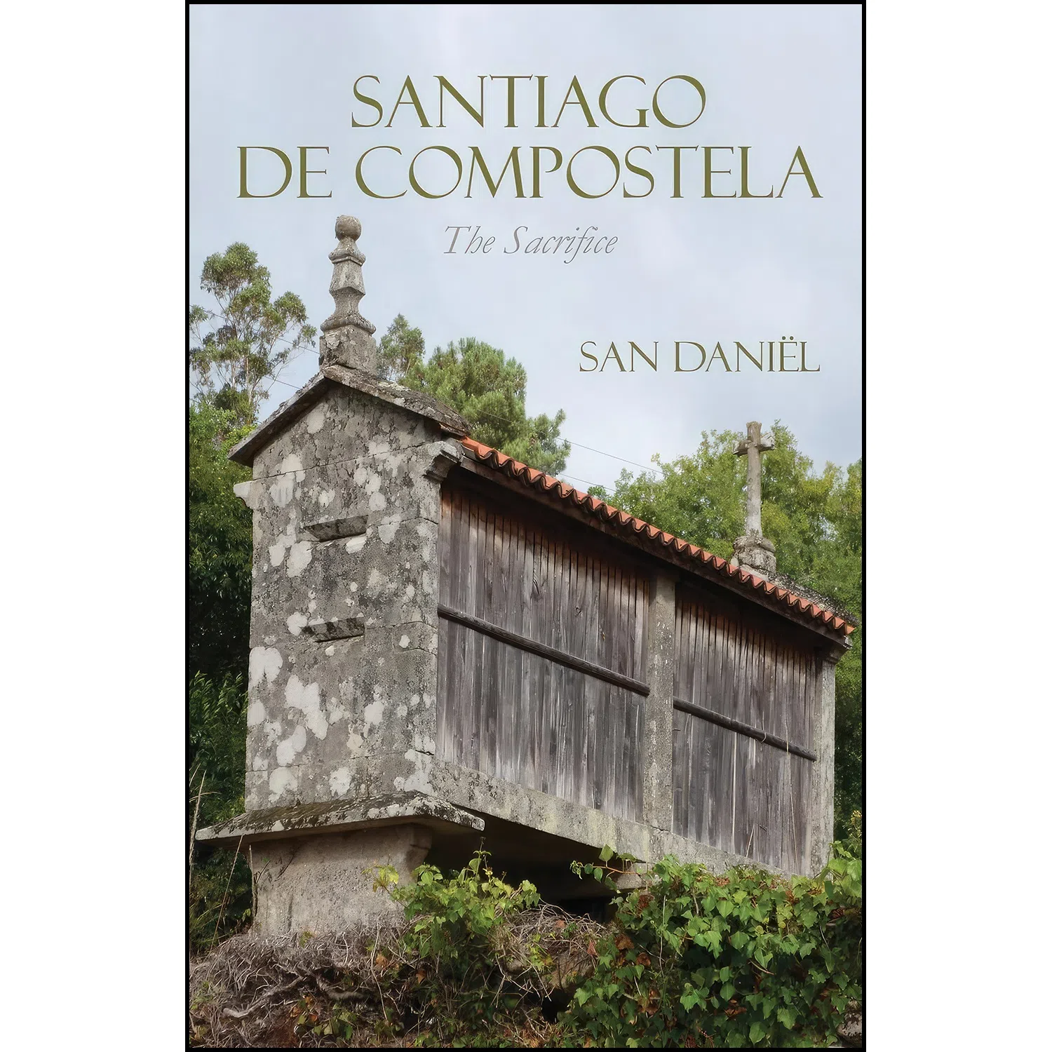 کتاب Santiago de Compostela اثر San Daniel انتشارات America Star Books