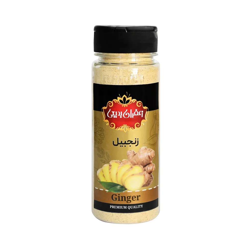 ادویه زنجبیل بدیعی 55 گرم