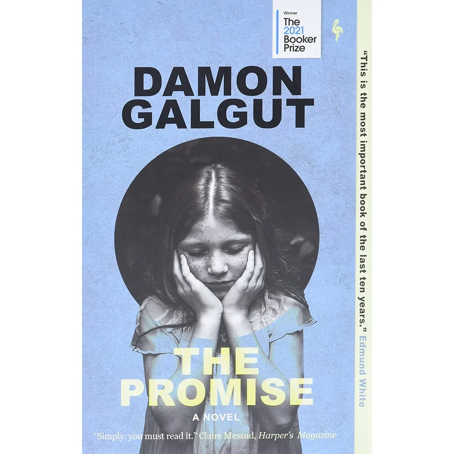 کتاب The Promise: A Novel اثر Damon Galgut انتشارات Europa Editions
