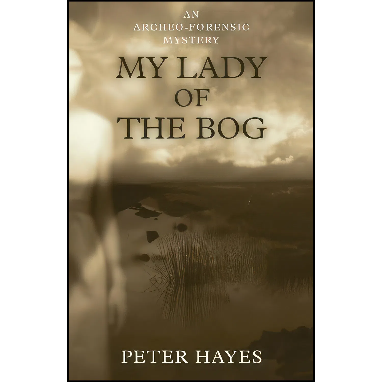 کتاب My Lady of the Bog اثر Peter Hayes انتشارات The Permanent Press