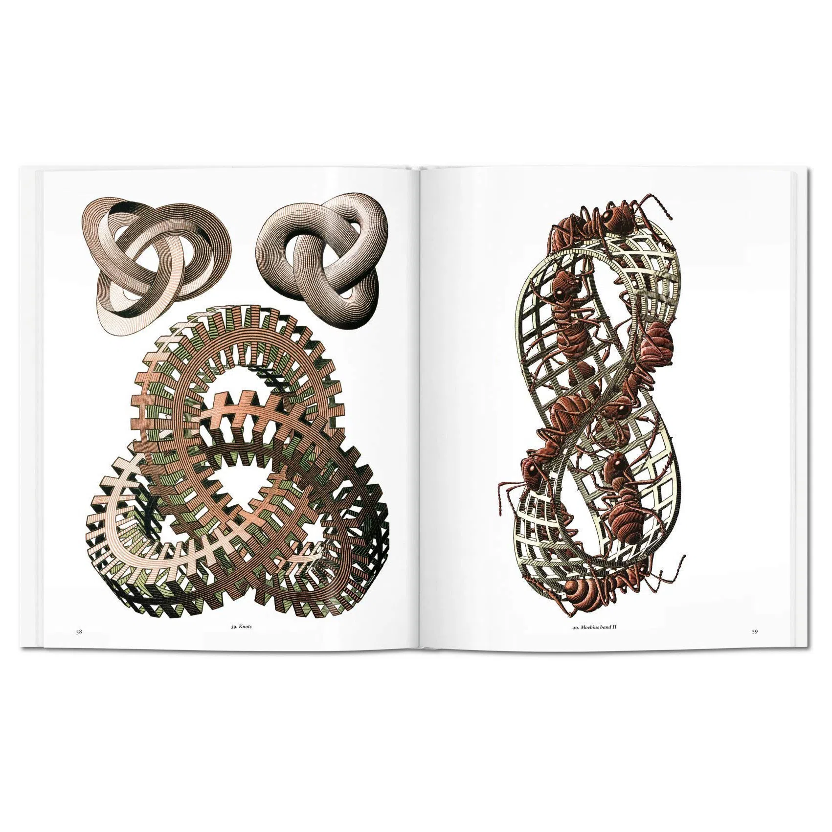 کتاب M.C. Escher. The Graphic Work اثر جمعی از نویسندگان انتشارات  تاشن — تصویر 2