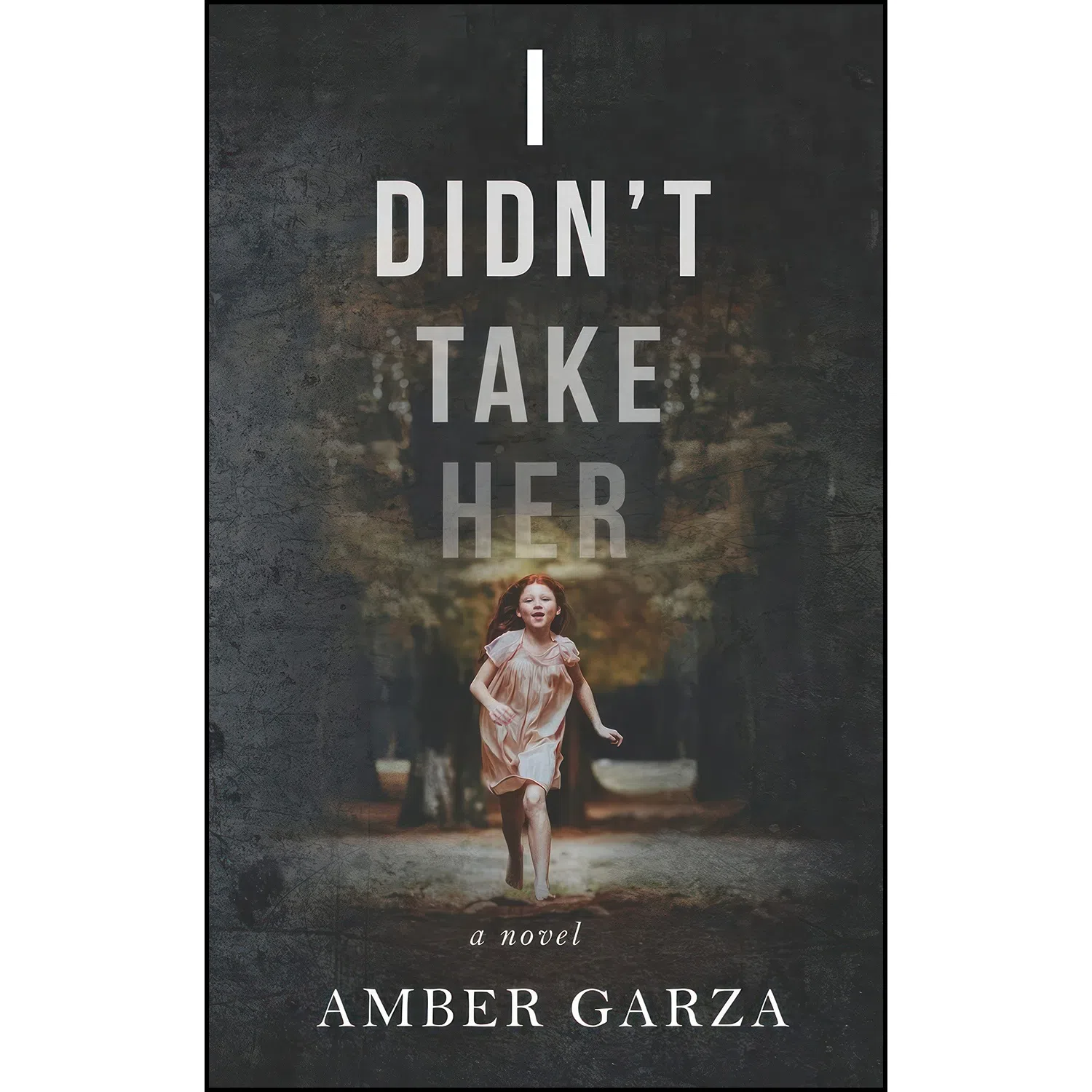 کتاب I Didnt Take Her اثر Amber Garza انتشارات تازه ها