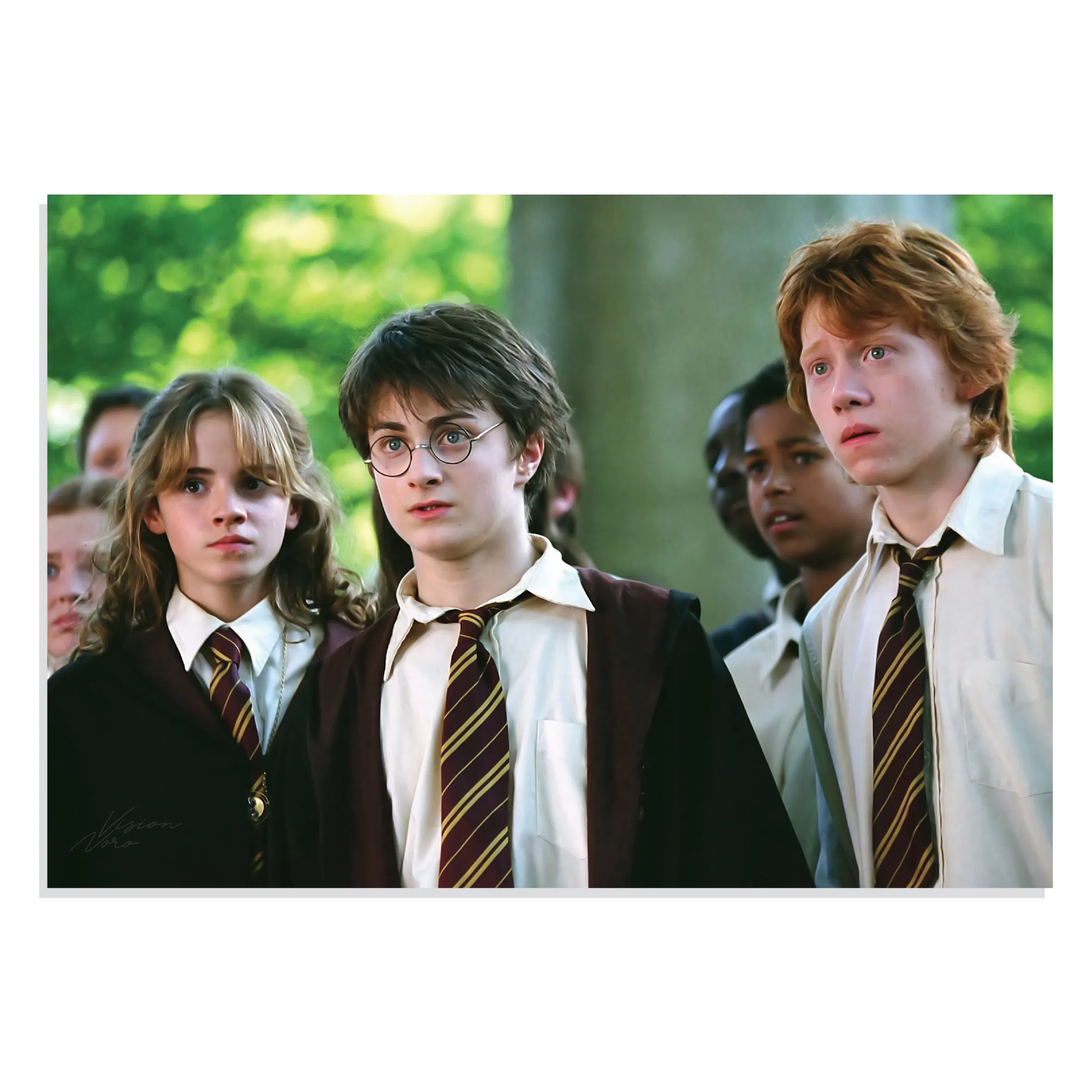 پوستر  طرح فیلم هری پاتر Harry Potter مدل NV0410
