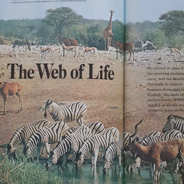 كتاب Our Magnificent Wildlife - How To Enjoy and Preserve اثر Raymond Dasmann انتشارات Readers Digest — تصویر 2