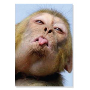 پوستر طرح میمون زبون دراز مدل M0320