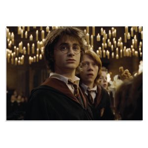 پوستر  طرح فیلم هری پاتر Harry Potter مدل NV0411
