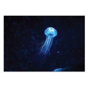 پوستر طرح حیوانات عروس دریایی Jellyfish مدل NV0927
