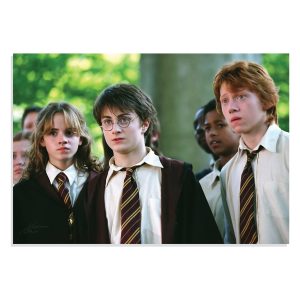 پوستر  طرح فیلم هری پاتر Harry Potter مدل NV0410